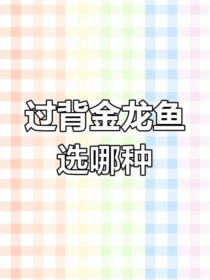 平頭過背金龍的市場需求如何？
