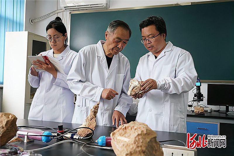 四角龍化石有何科學價值？