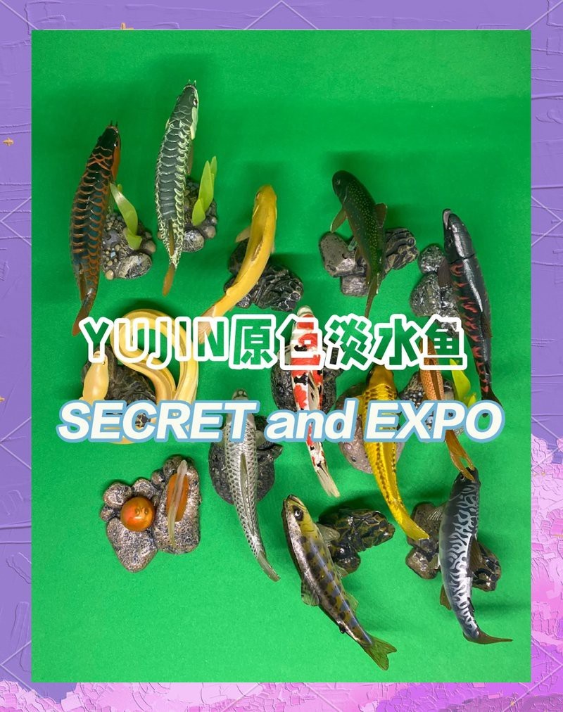 如何制作龍魚的紀念品？