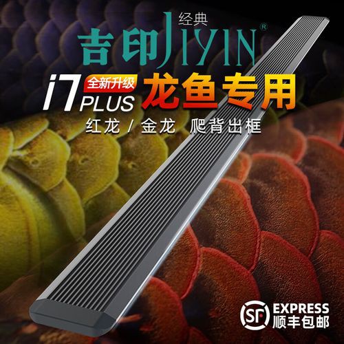 推薦幾款適合龍魚發色的照明設備 推薦幾款適合龍魚發色的照明設備 龍魚百科 第3張