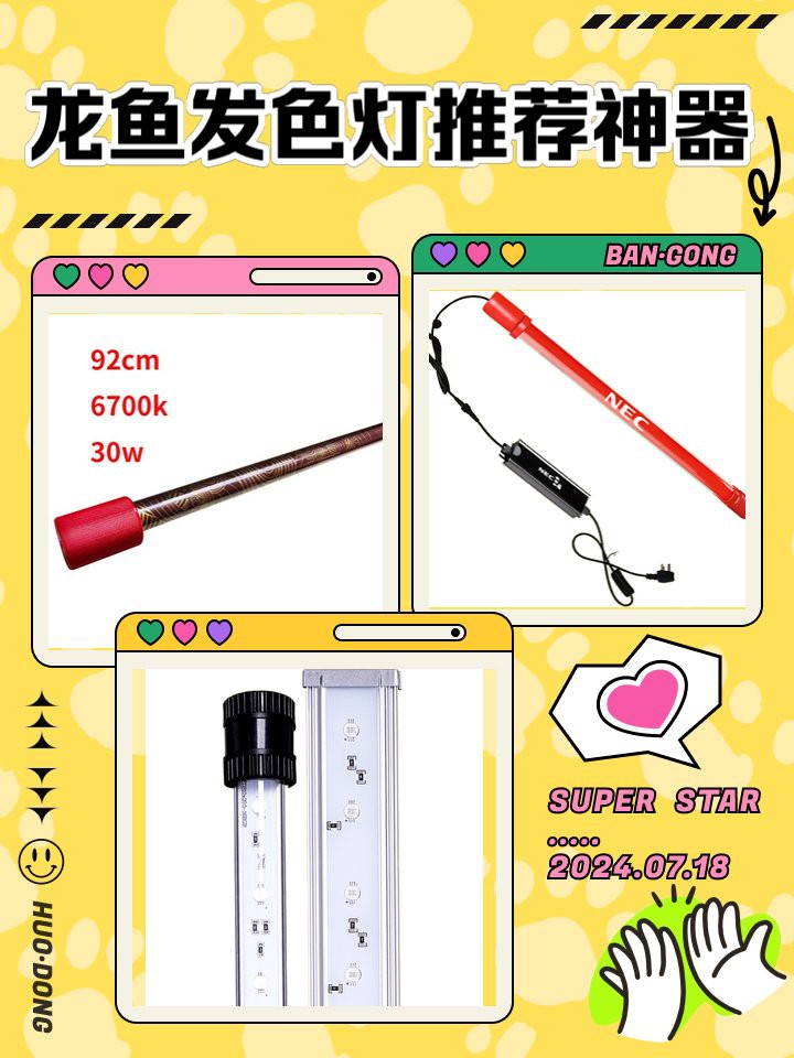 推薦幾款適合龍魚發色的照明設備 推薦幾款適合龍魚發色的照明設備 龍魚百科 第7張