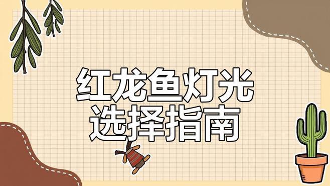 推薦幾款適合龍魚發色的照明設備 推薦幾款適合龍魚發色的照明設備 龍魚百科 第4張