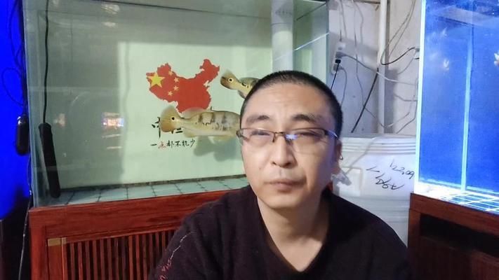 銀版魚活餌投喂時間表：銀版魚活餌投喂時間表包括一天三次投喂 銀版魚活餌投喂時間表：銀版魚活餌投喂時間表包括一天三次投喂 龍魚百科 第6張