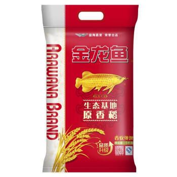 金龍魚批發基地：關于金龍魚批發基地的相關信息 金龍魚批發基地：關于金龍魚批發基地的相關信息 龍魚百科