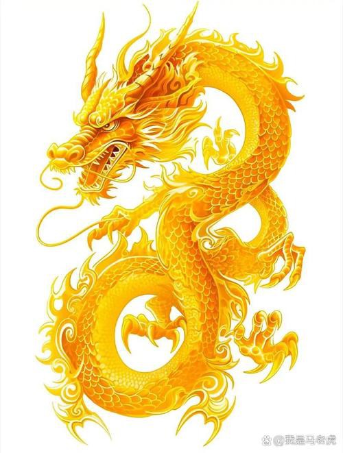 哪里可以找到高清的風水龍圖片？