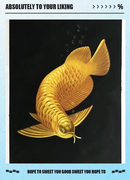 金龍魚翹嘴圖片欣賞大全