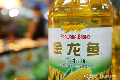 金龍魚說明書（金龍魚主要產品涵蓋了什么？）