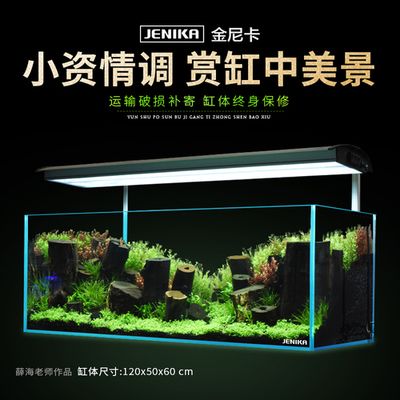 龍魚魚缸造景圖片大全：龍魚魚缸造景圖片大全，龍魚魚缸造景圖片和設計要點