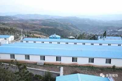 大理白族自治州龍魚養殖基地：大理白族自治州的鱒龍魚養殖基地