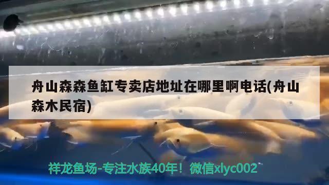 寶龍魚糧（寶龍魚糧是一種專為觀賞魚設計的魚糧，寶龍魚糧的用戶評價匯總）