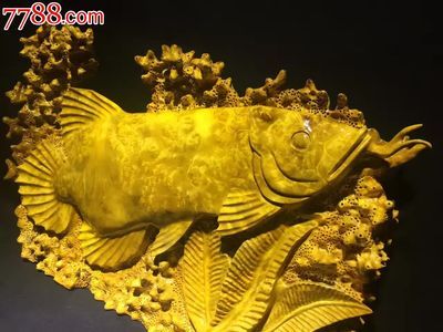黃金龍魚價格多少錢一條（一條金龍大概要多少錢） 黃金龍魚價格多少錢一條（一條金龍大概要多少錢） 龍魚百科 第1張