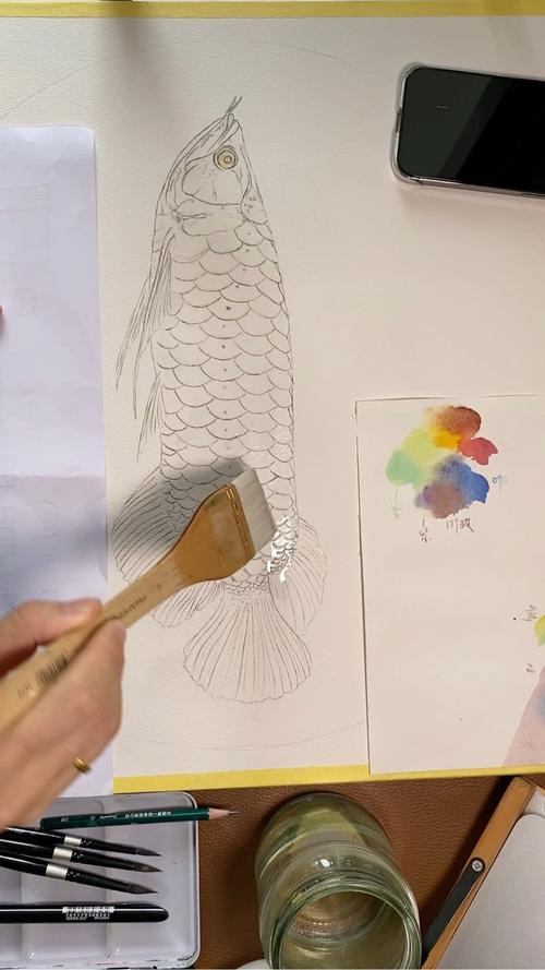 水彩金龍魚 水彩金龍魚 龍魚百科 第17張