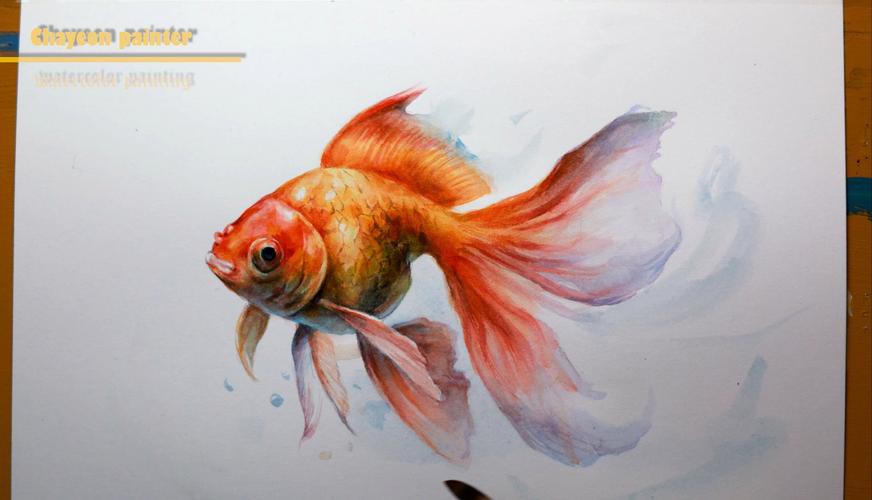水彩金龍魚 水彩金龍魚 龍魚百科 第6張