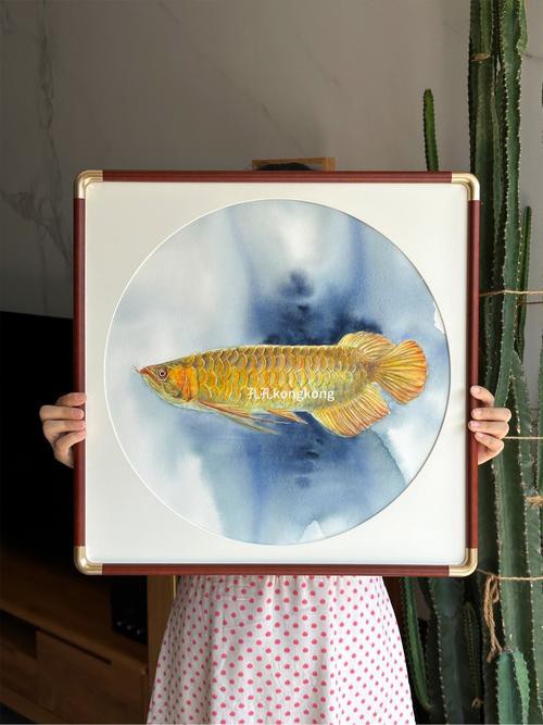 水彩金龍魚 水彩金龍魚 龍魚百科 第13張