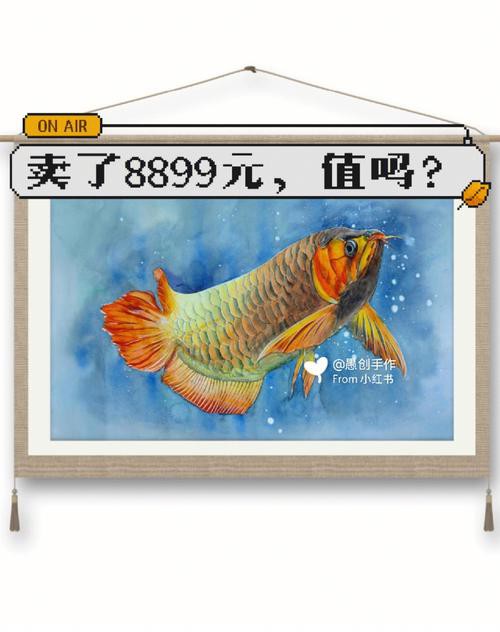 水彩金龍魚 水彩金龍魚 龍魚百科 第26張