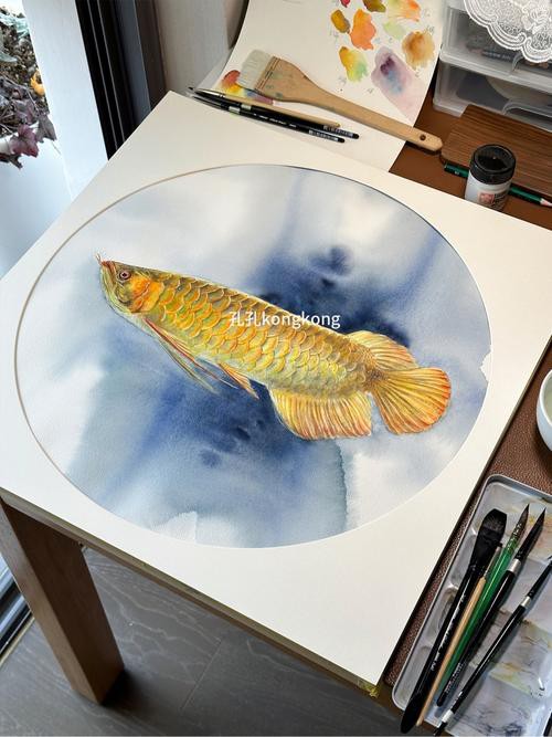 水彩金龍魚 水彩金龍魚 龍魚百科 第12張