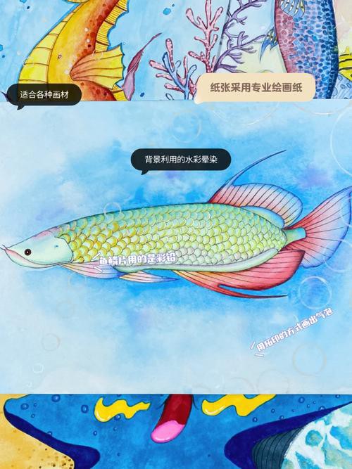 水彩金龍魚 水彩金龍魚 龍魚百科 第24張