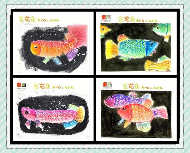 水彩金龍魚 水彩金龍魚 龍魚百科 第25張