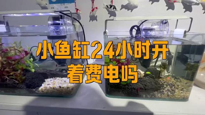 如何降低魚缸的耗電量