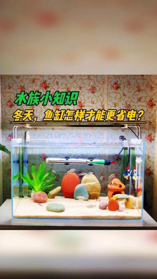 如何降低魚缸的耗電量