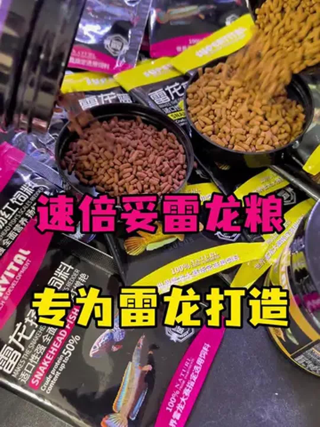 雷龍魚最合適的飼料品牌