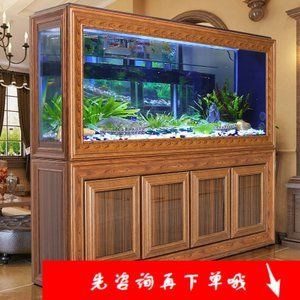 金龍魚魚缸背景什么顏色好：金龍魚的背景顏色選擇指南