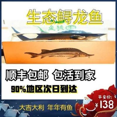 尋龍魚多少錢一斤：尋龍魚市場價格波動 尋龍魚多少錢一斤：尋龍魚市場價格波動 龍魚百科 第4張