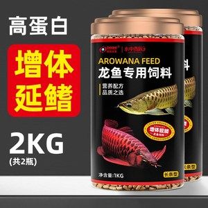 紅龍魚30公分一天喂一次多少飼料（紅龍魚喂食頻率和量）