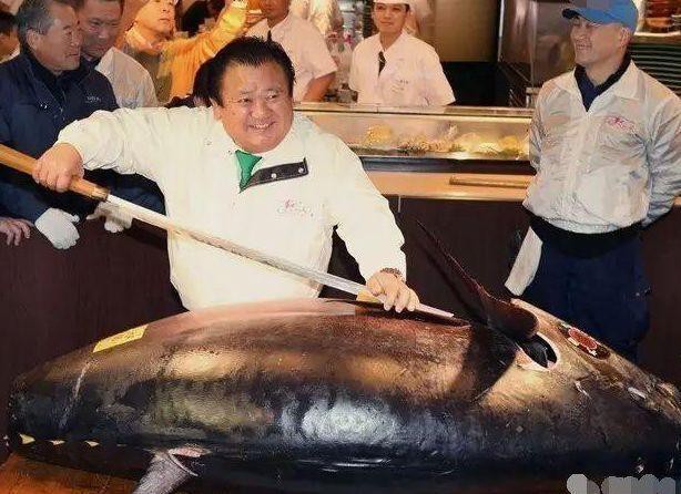 湛江龍魚價格行情最新報價