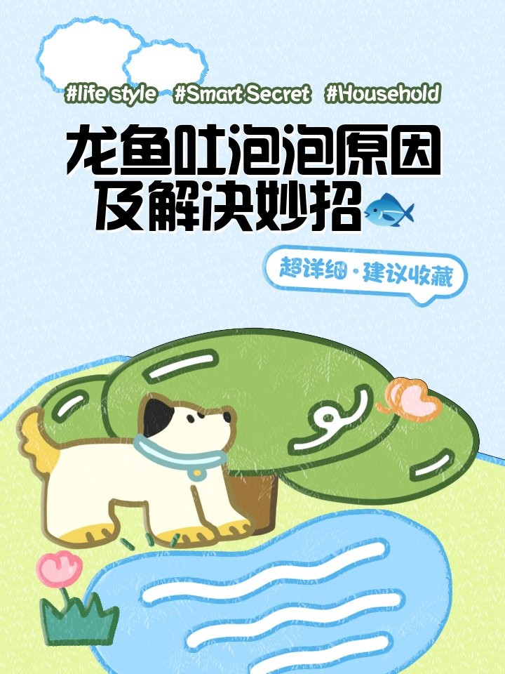 龍魚吐出來白的東西怎么辦 龍魚吐出來白的東西怎么辦 龍魚百科 第6張