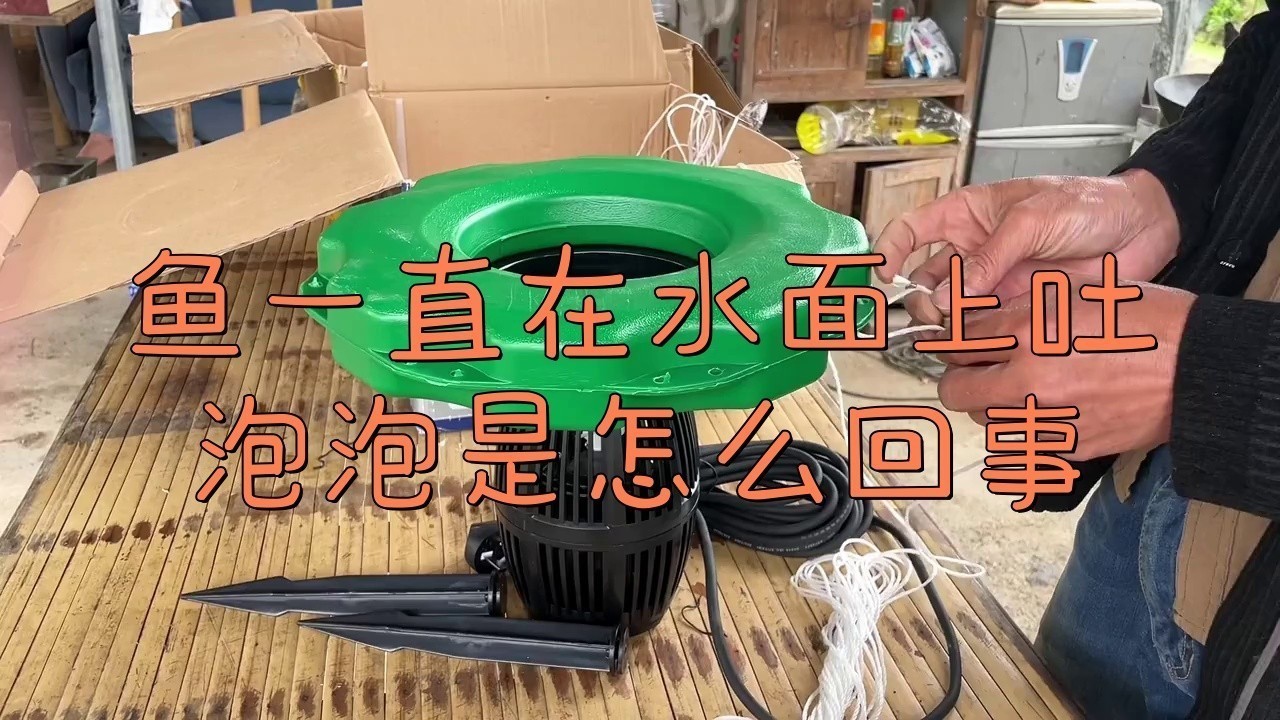 龍魚吐出來白的東西怎么辦 龍魚吐出來白的東西怎么辦 龍魚百科 第3張