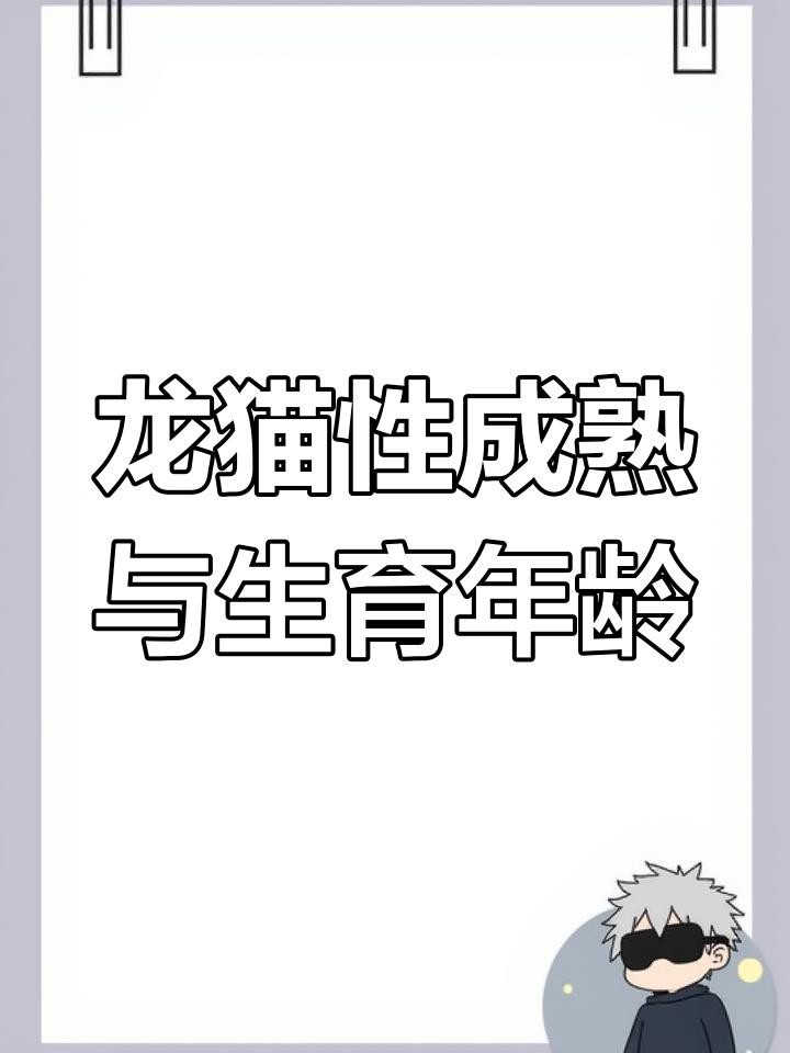 龍貓合籠后多久可以繁殖？ 龍貓合籠后多久可以繁殖？ 龍魚百科 第1張