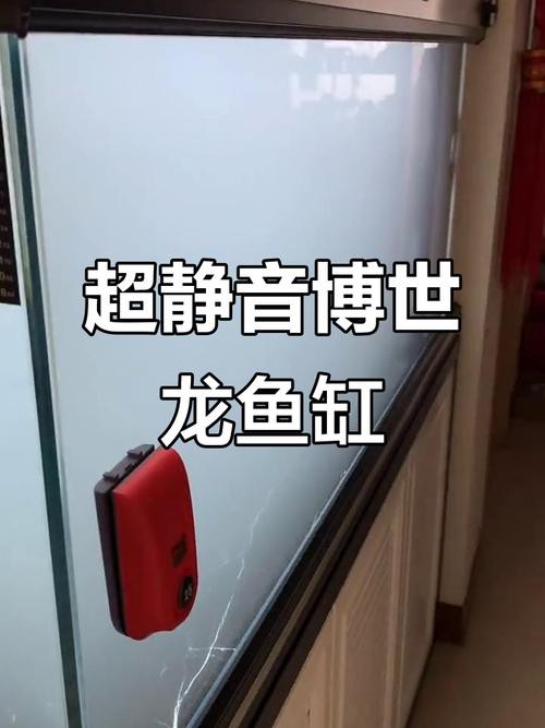 博世龍魚缸價格表圖片