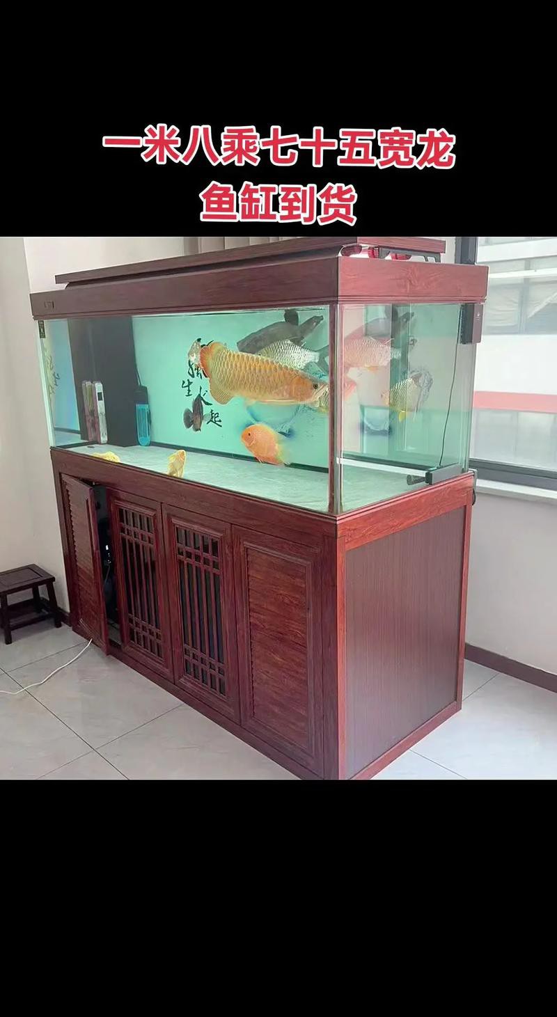 博世龍魚缸價格表圖片