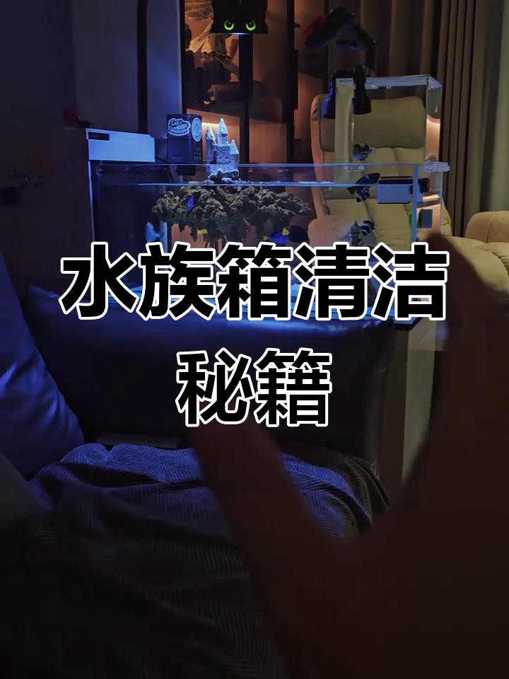 金龍魚缸清潔有哪些步驟？