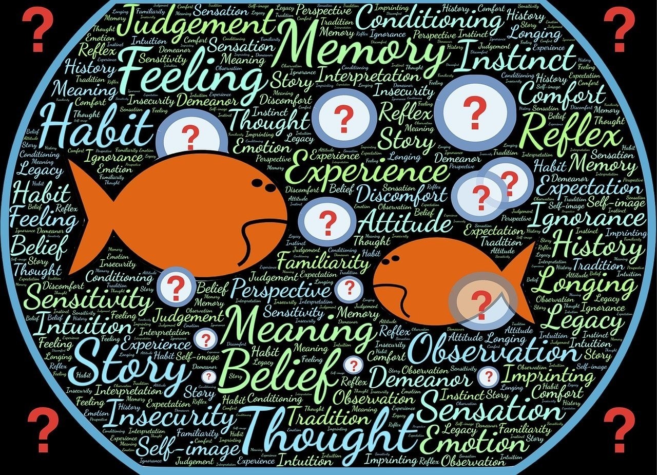 龍魚水質要求：龍魚水質要求ph是多少