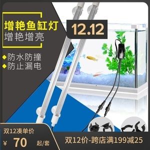 龍魚用幾根燈管合適：養龍魚用幾根燈管合適