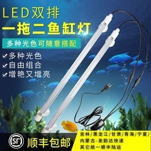 龍魚用幾根燈管合適：養龍魚用幾根燈管合適