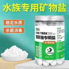 赤血雷龍魚 赤血雷龍魚 龍魚百科 第17張