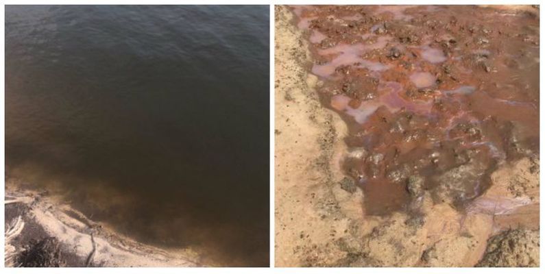 塘鲺魚苗適宜的水質標準：塘鲺魚苗最佳養殖水溫，塘鲺魚苗溶解氧管理技巧 塘鲺魚苗適宜的水質標準：塘鲺魚苗最佳養殖水溫，塘鲺魚苗溶解氧管理技巧 龍魚百科 第1張