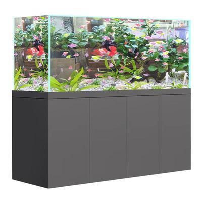 龍魚魚缸推薦品種有哪些：龍魚魚缸怎么選