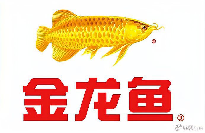 金龍魚的廠家是哪里的企業 金龍魚的廠家是哪里的企業 龍魚百科 第1張