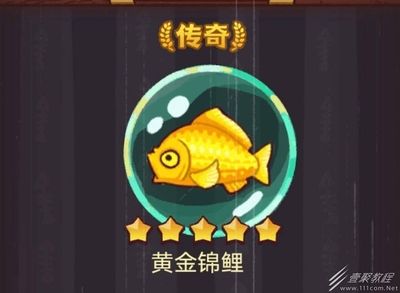 佩戴龍魚有什么好處嗎：佩戴龍魚有什么好處