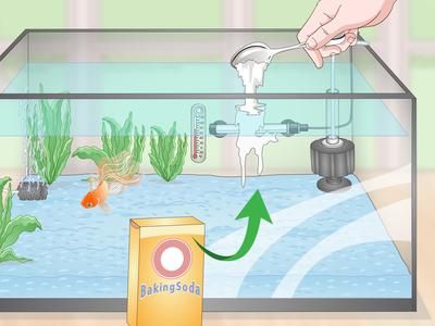 如何監(jiān)測水族箱中的氨氮含量（監(jiān)測水族箱中氨氮含量的方法）