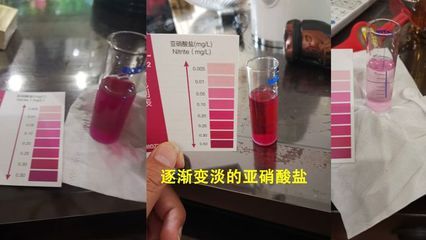 如何監(jiān)測水族箱中的氨氮含量（監(jiān)測水族箱中氨氮含量的方法）