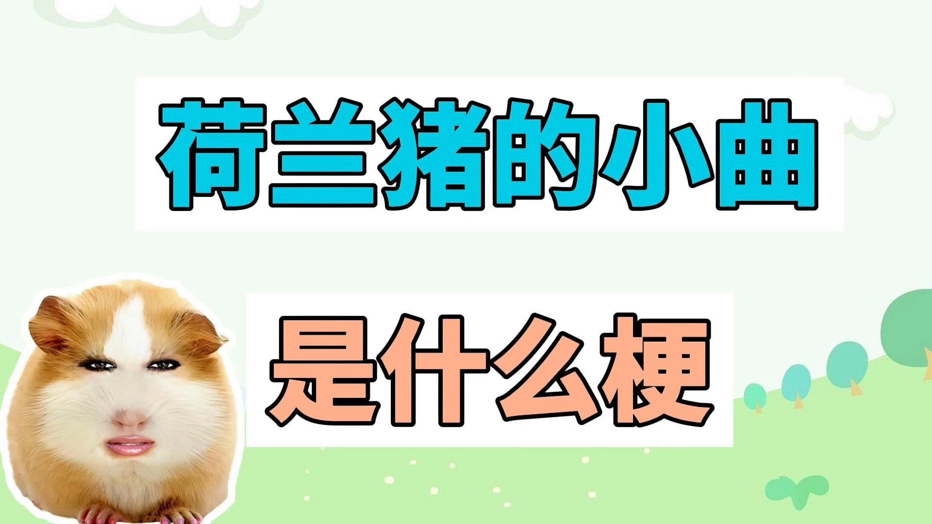 如何科學飼養龍貓和荷蘭豬？