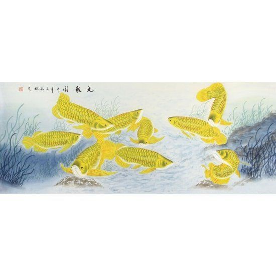 金龍魚的畫不能亂掛