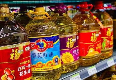 金龍魚20厘米吃什么食物能長大（20厘米金龍魚吃什么食物最好金龍魚吃什么食物最好）
