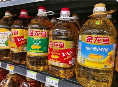 金龍魚20厘米吃什么食物能長大（20厘米金龍魚吃什么食物最好金龍魚吃什么食物最好）