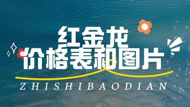 紅龍香煙哪個(gè)系列性價(jià)比最高？ 紅龍香煙哪個(gè)系列性價(jià)比最高？ 龍魚百科 第10張